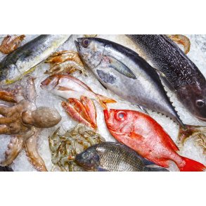 Fisk og Skaldyr